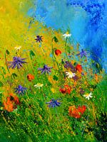 Wild flowers