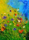 Wilde bloemen van pol ledent thumbnail