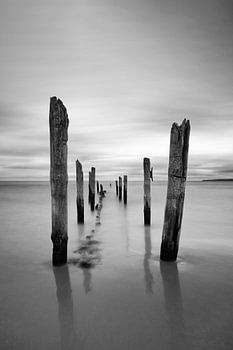 Holzstangen am Strand