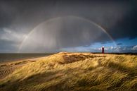 Ein Regenbogen über dem Leuchtturm von Ouddorp von Ellen van den Doel Miniaturansicht