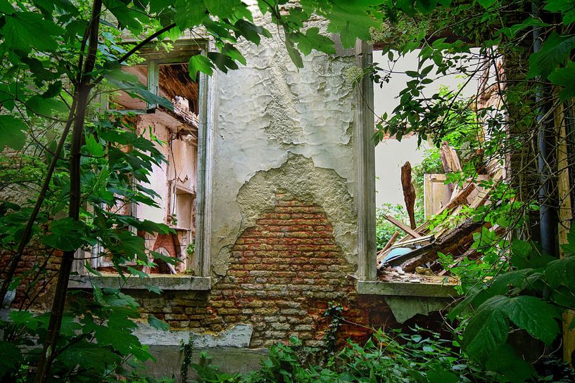 Ruin - beautiful interplay of light and greenery by Peggy Raemdonck