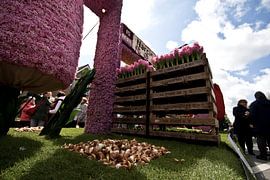 Bloemencorso bollenstreek 2012 by foto-fantasie foto-fantasie