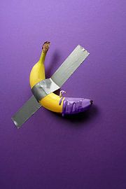 kunst schilder van Remko Killaars