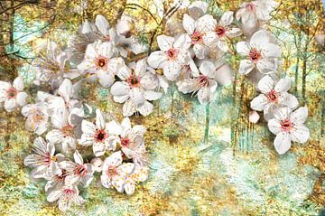 Winterblüte von Corinne Welp