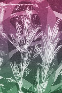 Witte takken.  Moderne abstracte botanische geometrische kunst in roze en groen van Dina Dankers