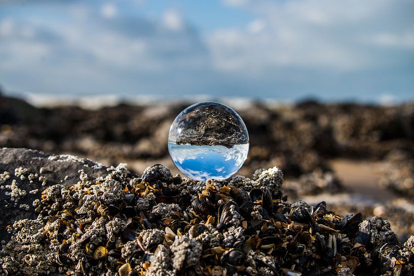 the sea by Bart Liesenborgs