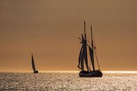 Segelschiffe auf der Hanse Sail van Rico Ködder thumbnail