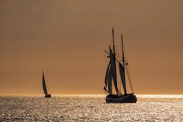 Sailing ships on the Hanse Sail van Rico Ködder