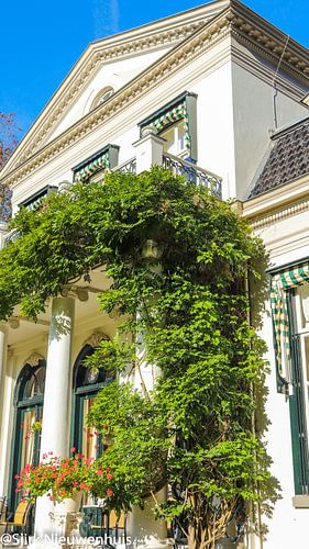Statig Landhuis Oranjewoud