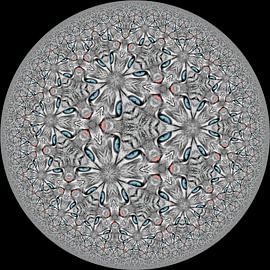 Katze oder Eule von Tis Veugen