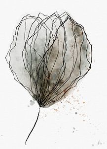 MISTIC TULIP
