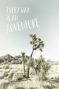 Chaque jour est une aventure | Desert impression
