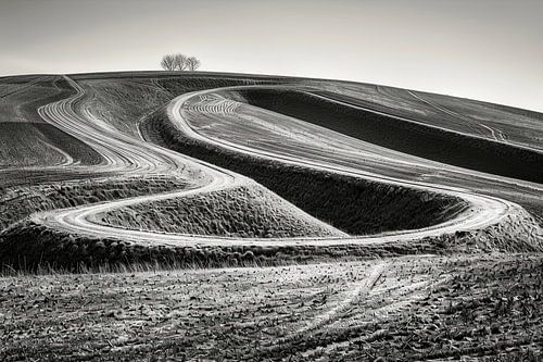 minimalistisch landschap in zwart wit