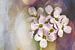 Vintage Flower look van Frans Nijland