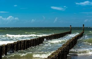 Zon, zee en wind