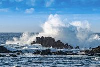 Smashing Wave in Monterey_USA_landscape