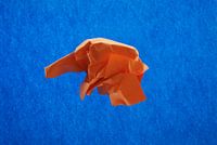 Blauw oranje