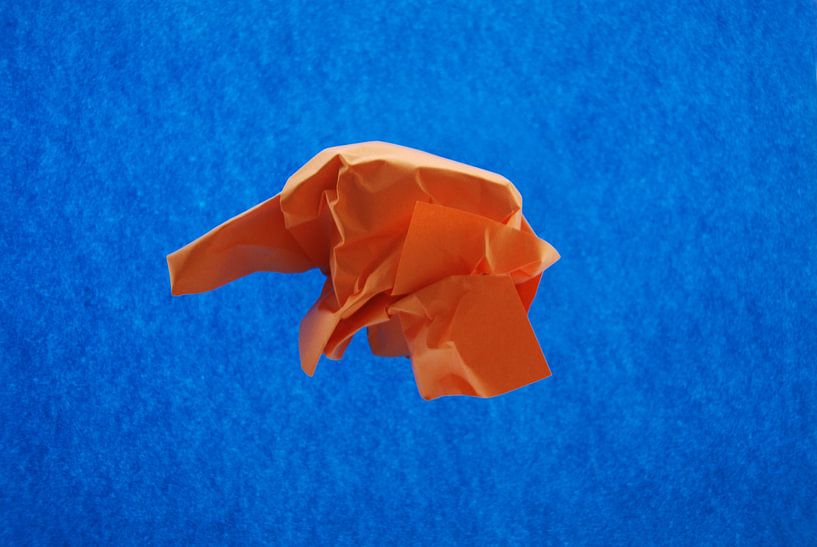 Blue orange by Brigitte van Ark