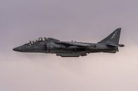 McDonnell Douglas TAV-8B Harrier. van Jaap van den Berg thumbnail