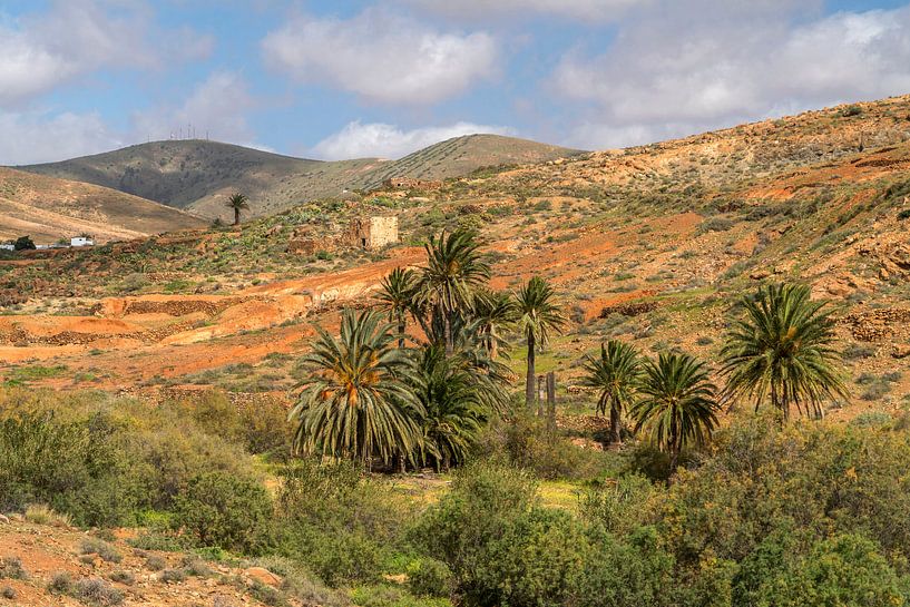Vega de Río Palmas, Fuerteventura by Peter Schickert