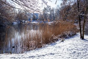 Verschneite Bremer Wallanlagen