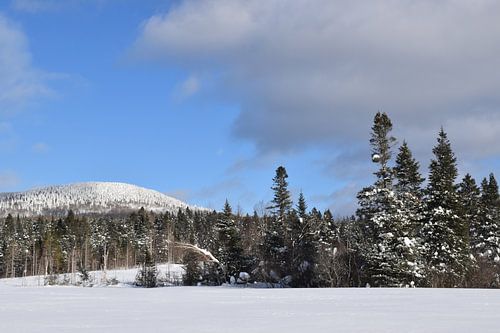 Een berg onder de sneeuw