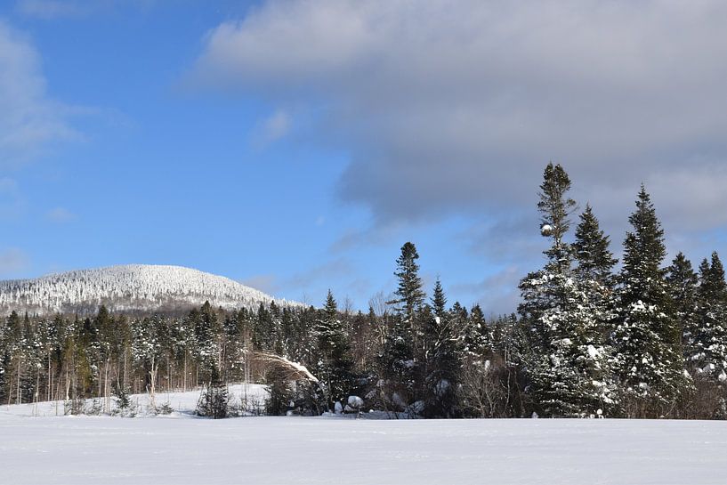 A mountain under the snow by Claude Laprise