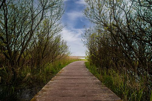 Planken pad op Ameland