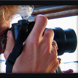 C. Wold Profile picture