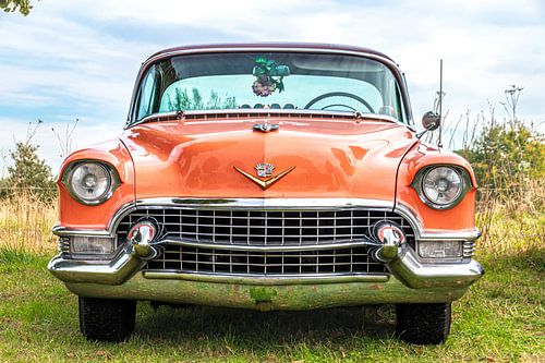 Een Cadillac Coupe de Ville in het wild