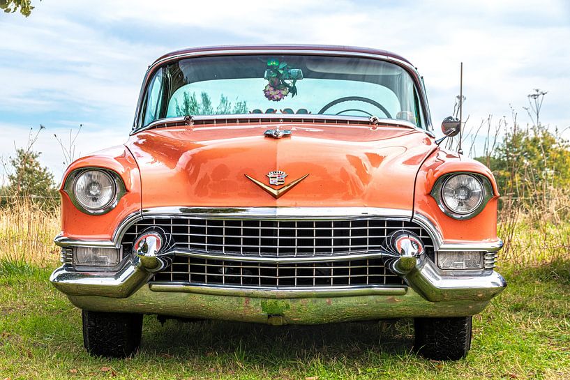 Une Cadillac Coupe de Ville dans la nature par Jurjen Jan Snikkenburg