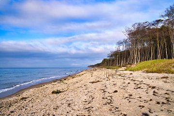 Am Sandstrand der Ostseeküste von Martin Köbsch
