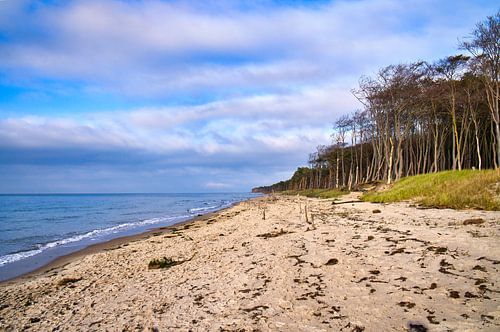 Op het zandstrand van de Oostzeekust