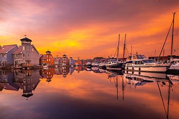 reed harbor groningen golden hour by Tara Kiers