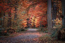 Automne II sur Marco van de Pol