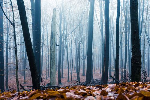 Park Sonsbeek part 12