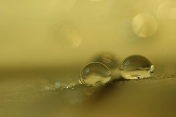 Green drops van Carla Mesken-Dijkhoff