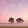 Pink morning atmosphere by Art Wittingen