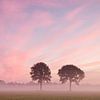 Roze ochtend sfeer van Art Wittingen