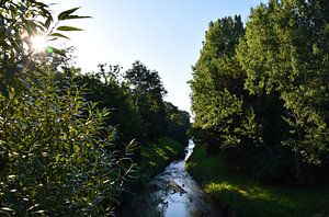 Riverside