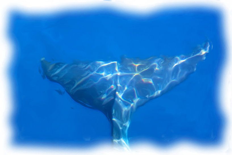 Minke walvis staart van Maurice Dawson