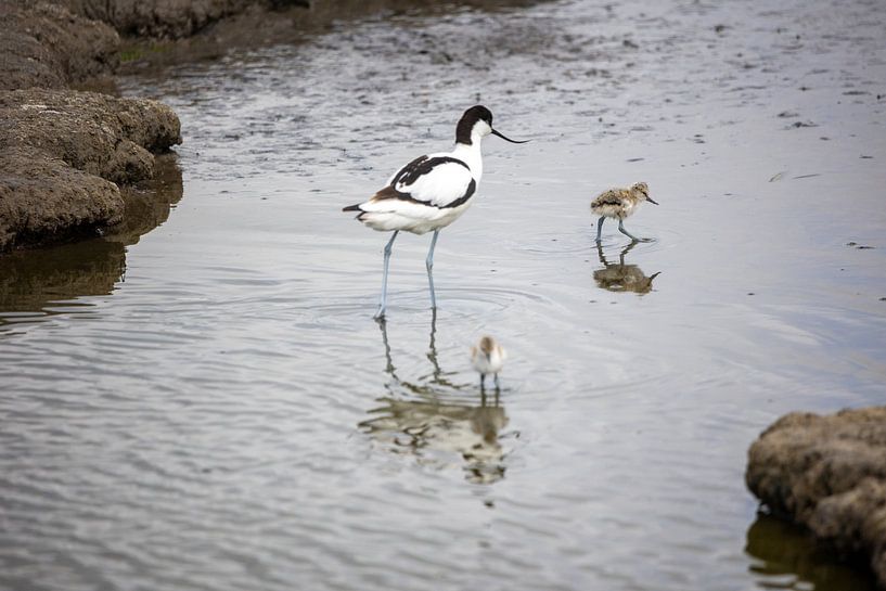 Le bonheur de Prilting par Erwin van Eekhout