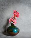 Frühling in einer Vase von Corinne Welp Miniaturansicht