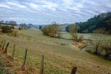 Meadow under cloud cover by Johan Vanbockryck