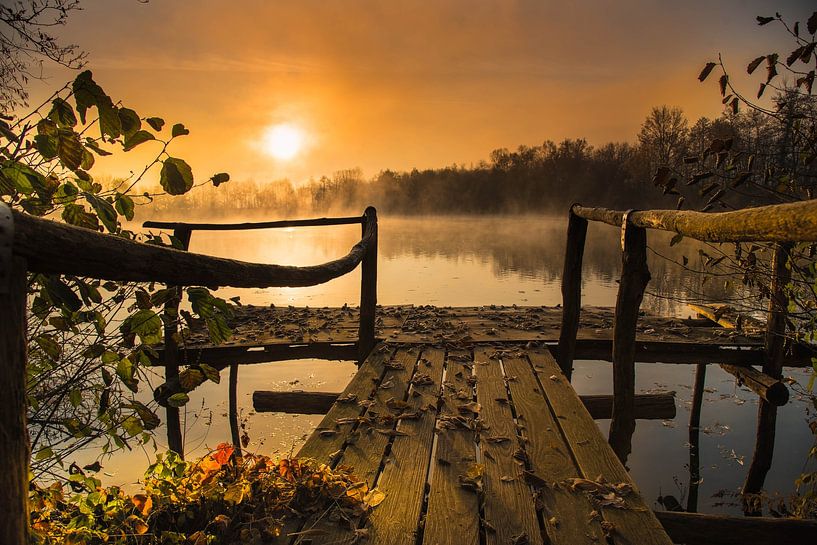 Winter morning at the lake in the Ortenau by Tanja Voigt