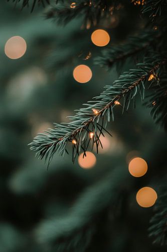Kerstboomverlichting