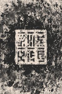 Cryptic Space Glyphs I