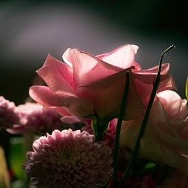 De roze roos van Arno Marx