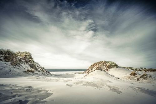 Amrum V