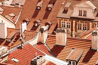 The Prague Roofs
